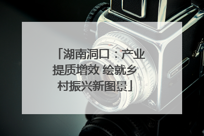 湖南洞口：产业提质增效 绘就乡村振兴新图景