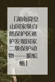 湖南舜皇山国家级自然保护区巡护发现国家二级保护动物——脆蛇蜥