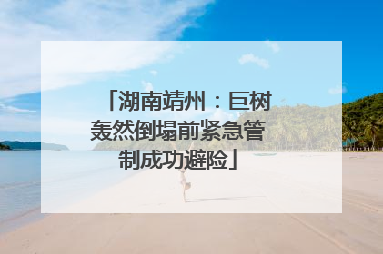 湖南靖州：巨树轰然倒塌前紧急管制成功避险