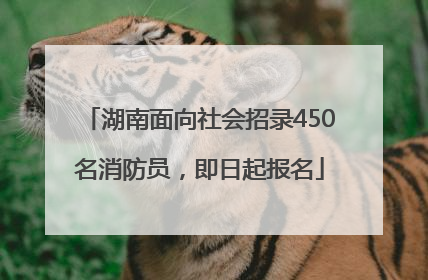 湖南面向社会招录450名消防员，即日起报名