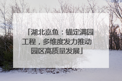 湖北嘉鱼：锚定满园工程，多维度发力推动园区高质量发展