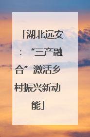 湖北远安：“三产融合”激活乡村振兴新动能