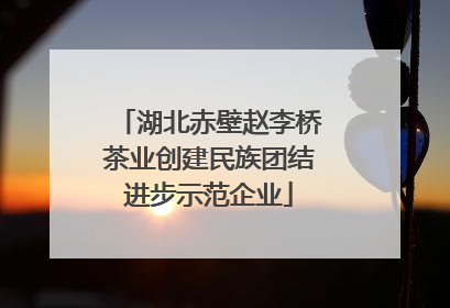 湖北赤壁赵李桥茶业创建民族团结进步示范企业