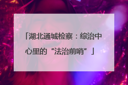 湖北通城检察：综治中心里的“法治前哨”