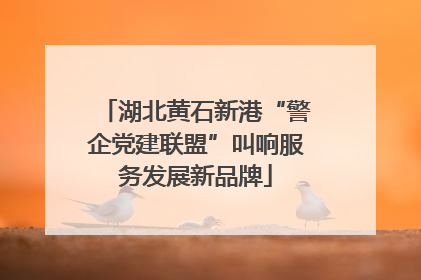 湖北黄石新港“警企党建联盟”叫响服务发展新品牌