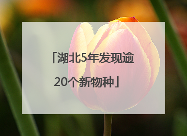 湖北5年发现逾20个新物种