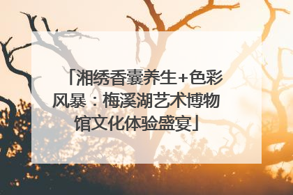 湘绣香囊养生+色彩风暴：梅溪湖艺术博物馆文化体验盛宴