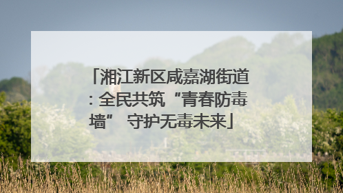 湘江新区咸嘉湖街道：全民共筑“青春防毒墙” 守护无毒未来