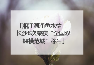 湘江潮涌鱼水情——长沙8次荣获“全国双拥模范城”称号