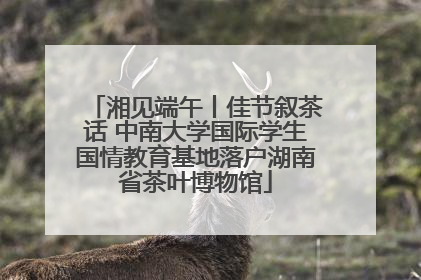 湘见端午丨佳节叙茶话 中南大学国际学生国情教育基地落户湖南省茶叶博物馆
