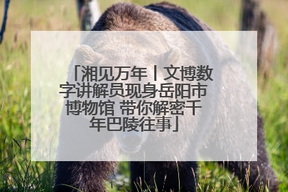 湘见万年丨文博数字讲解员现身岳阳市博物馆 带你解密千年巴陵往事