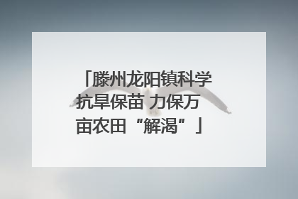 滕州龙阳镇科学抗旱保苗 力保万亩农田“解渴”