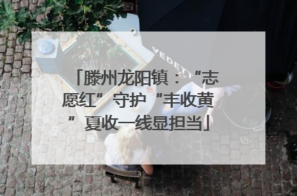 滕州龙阳镇：“志愿红”守护“丰收黄”夏收一线显担当