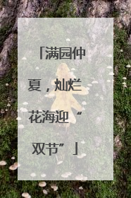 满园仲夏，灿烂花海迎“双节”