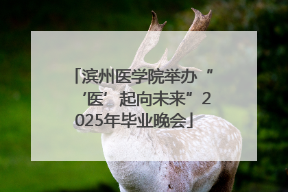 滨州医学院举办“‘医’起向未来”2025年毕业晚会