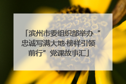 滨州市委组织部举办“忠诚写满大地·榜样引领前行”党课故事汇