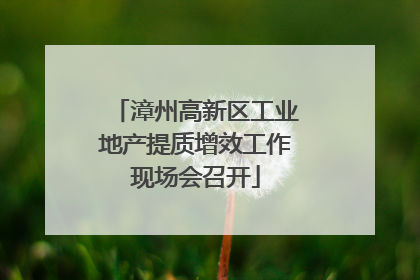 漳州高新区工业地产提质增效工作现场会召开