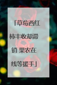 草莓西红柿丰收却滞销 果农在线等援手
