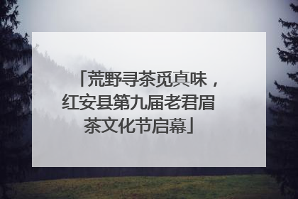 荒野寻茶觅真味，红安县第九届老君眉茶文化节启幕