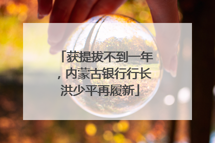 获提拔不到一年，内蒙古银行行长洪少平再履新