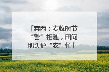莱西：麦收时节“警”相随，田间地头护“农”忙