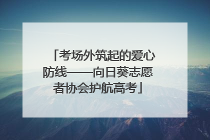 考场外筑起的爱心防线——向日葵志愿者协会护航高考