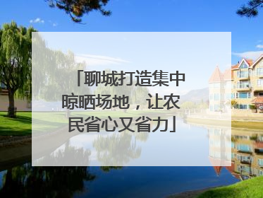聊城打造集中晾晒场地，让农民省心又省力