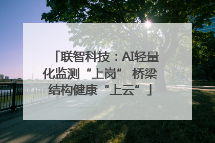 联智科技：AI轻量化监测“上岗” 桥梁结构健康“上云”