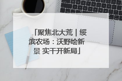 聚焦北大荒｜绥滨农场：沃野绘新景 实干开新局