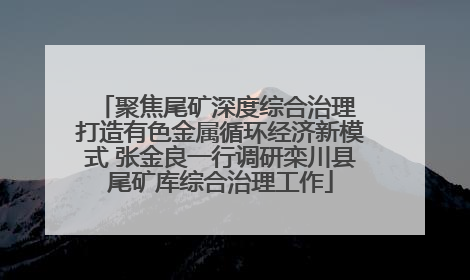 聚焦尾矿深度综合治理 打造有色金属循环经济新模式 张金良一行调研栾川县尾矿库综合治理工作