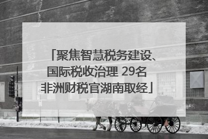 聚焦智慧税务建设、国际税收治理 29名非洲财税官湖南取经