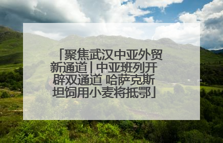 聚焦武汉中亚外贸新通道│中亚班列开辟双通道 哈萨克斯坦饲用小麦将抵鄂
