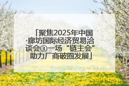 聚焦2025年中国·廊坊国际经济贸易洽谈会③一场“链主会” 助力厂商破圈发展