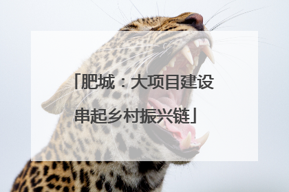 肥城：大项目建设串起乡村振兴链