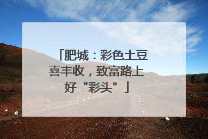 肥城：彩色土豆喜丰收，致富路上好“彩头”