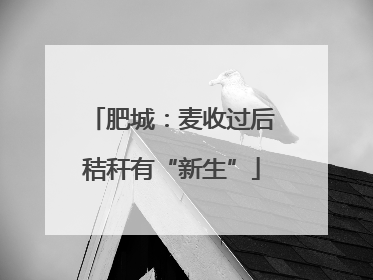 肥城：麦收过后秸秆有“新生”