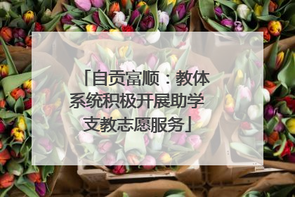 自贡富顺：教体系统积极开展助学支教志愿服务