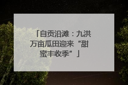 自贡沿滩：九洪万亩瓜田迎来“甜蜜丰收季”