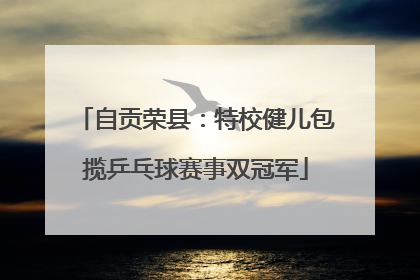 自贡荣县：特校健儿包揽乒乓球赛事双冠军