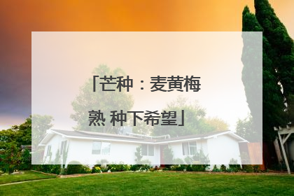 芒种：麦黄梅熟 种下希望