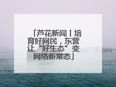 芦花新闻丨培育好网民，东营让“好生态”变网络新常态