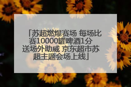 苏超燃爆赛场 每场比赛10000罐啤酒1分送场外助威 京东超市苏超主题会场上线
