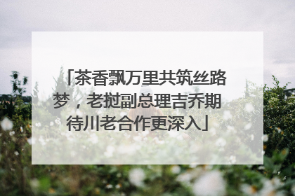 茶香飘万里共筑丝路梦，老挝副总理吉乔期待川老合作更深入