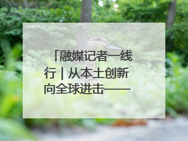 融媒记者一线行｜从本土创新向全球进击——我市生物医药产业破茧突围