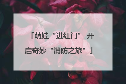 萌娃“进红门” 开启奇妙“消防之旅”
