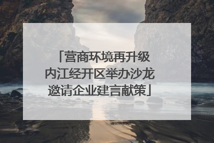 营商环境再升级 内江经开区举办沙龙邀请企业建言献策