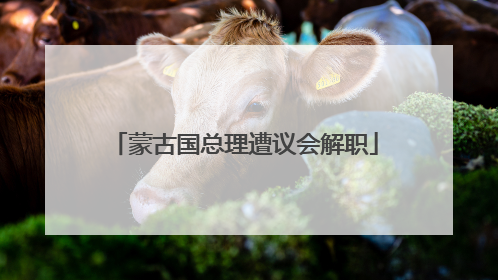 蒙古国总理遭议会解职