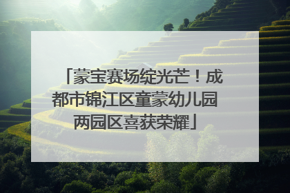 蒙宝赛场绽光芒！成都市锦江区童蒙幼儿园两园区喜获荣耀