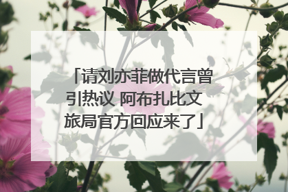 请刘亦菲做代言曾引热议 阿布扎比文旅局官方回应来了