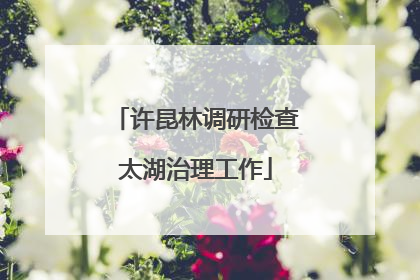 许昆林调研检查太湖治理工作